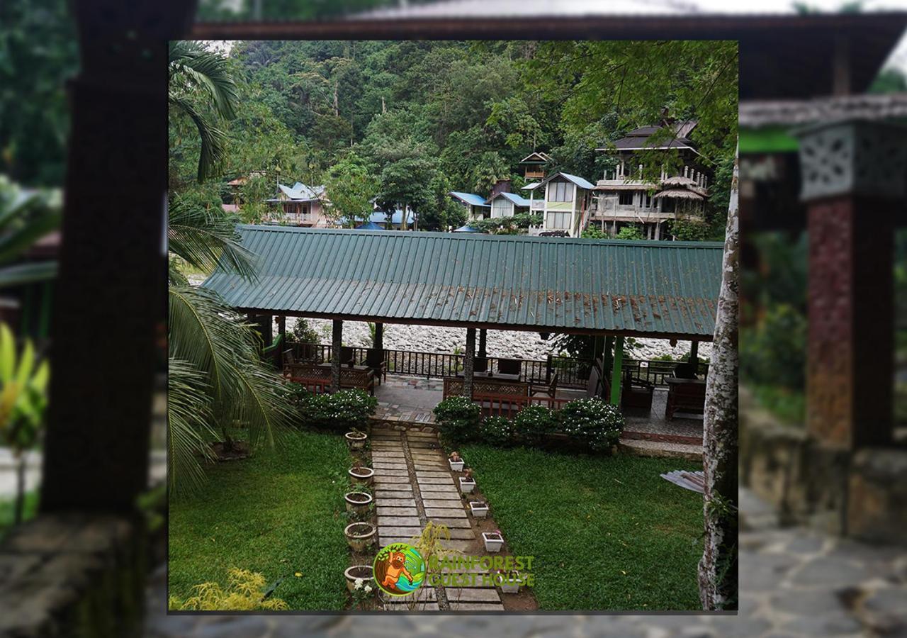 Rain Forest Guest House Bukit Lawang Exterior foto